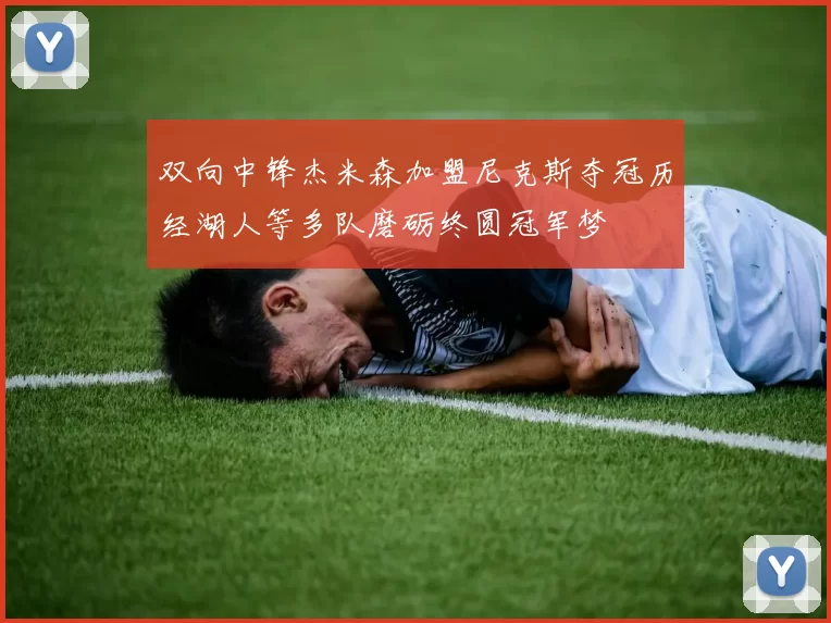双向中锋杰米森加盟尼克斯夺冠历经湖人等多队磨砺终圆冠军梦