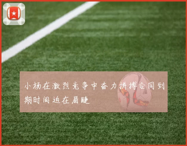 小杨在激烈竞争中奋力拼搏合同到期时间迫在眉睫